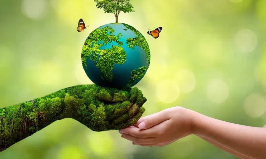 world-environment